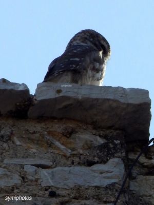 Κάντε κλικ για να δείτε την εικόνα σε πλήρες μέγεθος