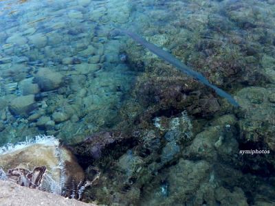 Κάντε κλικ για να δείτε την εικόνα σε πλήρες μέγεθος