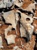 15_28Custom29~27.jpg