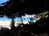 D26_28Custom29.jpg