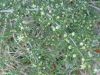 P1020213_28Custom29.jpg