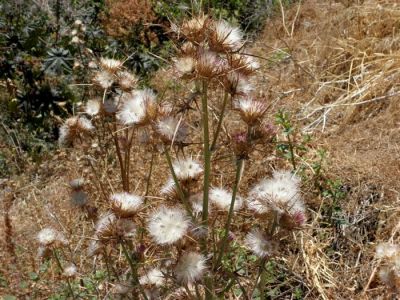 Κάντε κλικ για να δείτε την εικόνα σε πλήρες μέγεθος