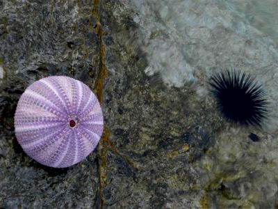 Κάντε κλικ για να δείτε την εικόνα σε πλήρες μέγεθος